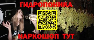 spice Донской