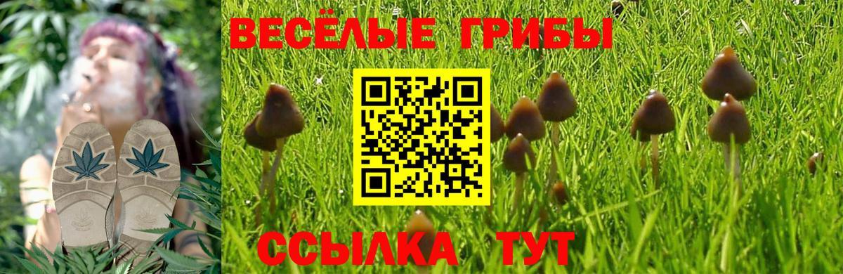 Галлюциногенные грибы Cubensis  Вход с VPN  Псилоцибиновые грибы GOLDEN TEACHER  Нефтекамск 